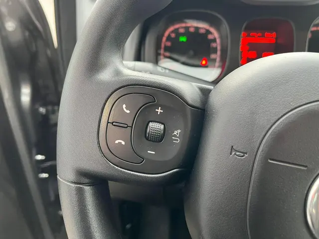 Fiat Panda 1.0 Hybrid City Cross 2020 Benzine 8