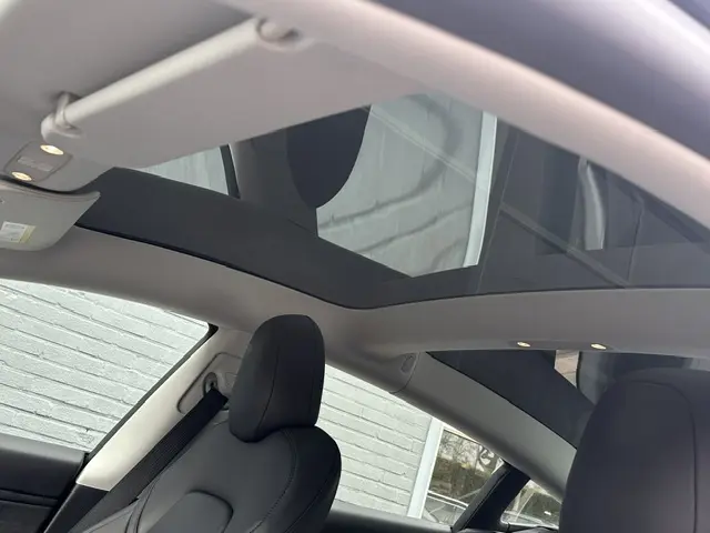 Tesla Model 3 Long Range AWD 75 kWh 2019 Elektrisch 8