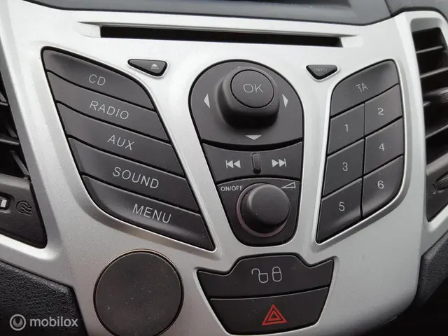 Ford Fiesta 1.25 Champion 2012 Benzine 13