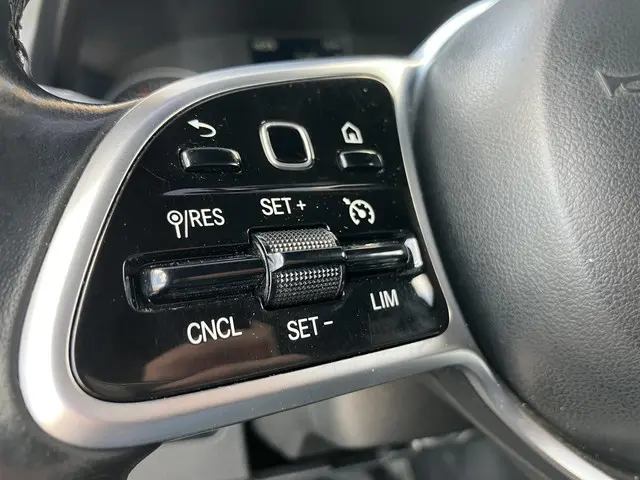 Mercedes-Benz Sprinter 319 3.0 CDI L2H2 2019 Diesel 21