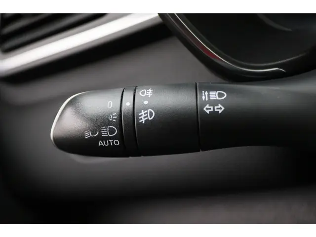 Renault Kadjar 1.2 TCe Extase 2016 Benzine 38