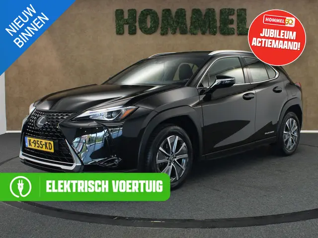 Lexus UX 300e Business 54 kWh 2020 Elektrisch