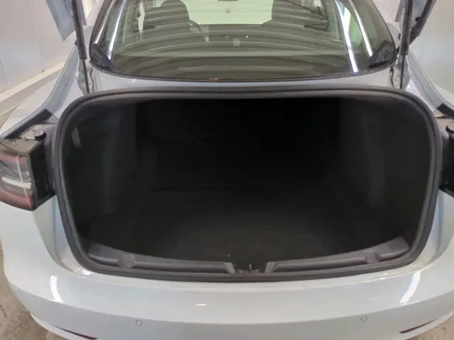 Tesla Model 3 Range Plus 2020 Elektrisch 10