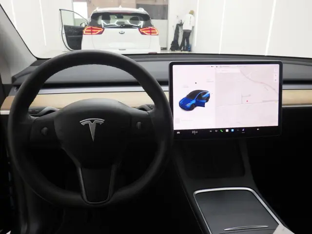 Tesla Model Y Long Range AWD 75 kWh 2021 Elektrisch 5