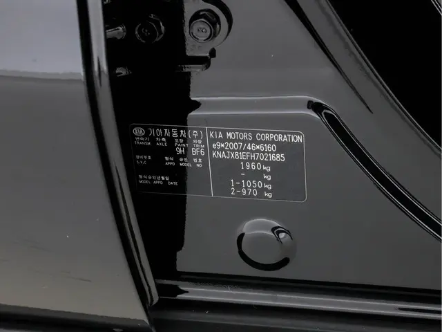 Kia e-Soul EV Executive Plus Line {SOH-95%} 2017 Elektrisch 29