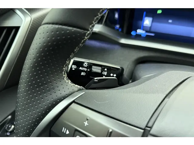 Opel Grandland Electric GS 73 kWh 2024 Elektrisch 33