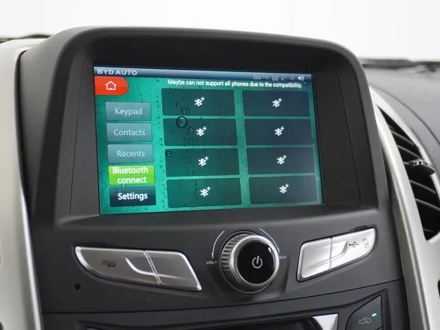 BYD ETP3 Standard 45 kWh 2023 Elektrisch 28
