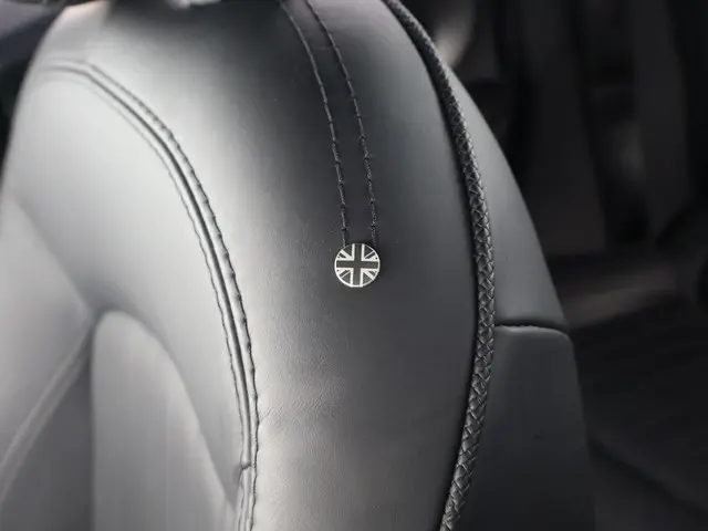 MINI Cooper S Mini 2.0 2020 Benzine 36