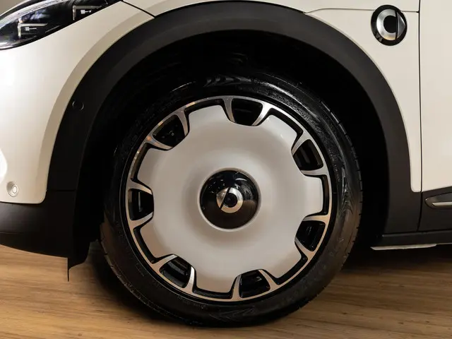 Smart #3 Premium 66 kWh 2025 Elektrisch 6