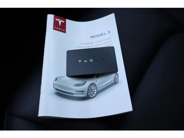 Tesla Model 3 Standard RWD Plus 60 kWh 2020 Elektrisch 5