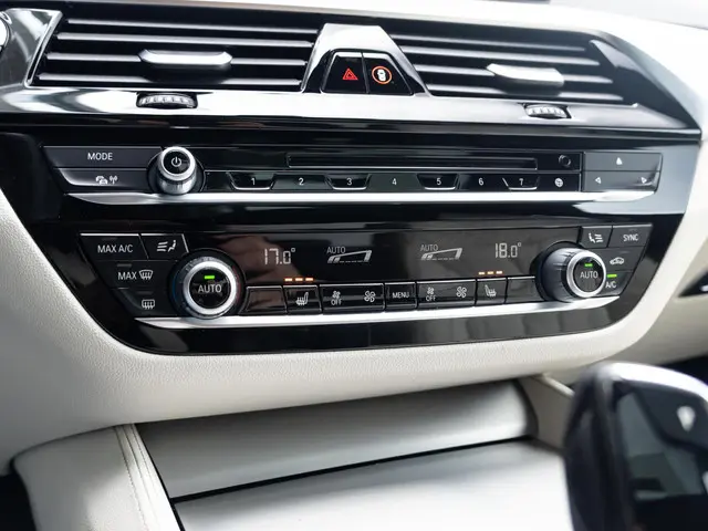 BMW 5 Serie Sedan 520i 2019 Benzine 31