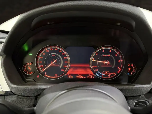 BMW 3 Serie Touring 318i M Sport Aut8 2019 Benzine 40