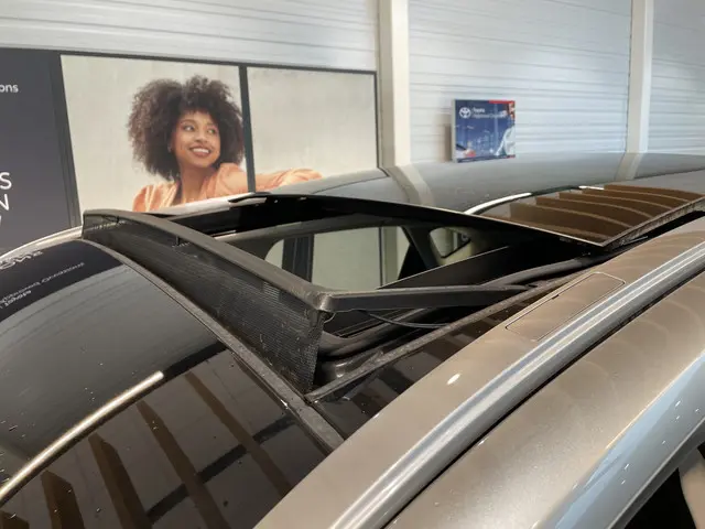 Lexus NX 450h+ AWD Executive Line 2025 Hybride Benzine 23