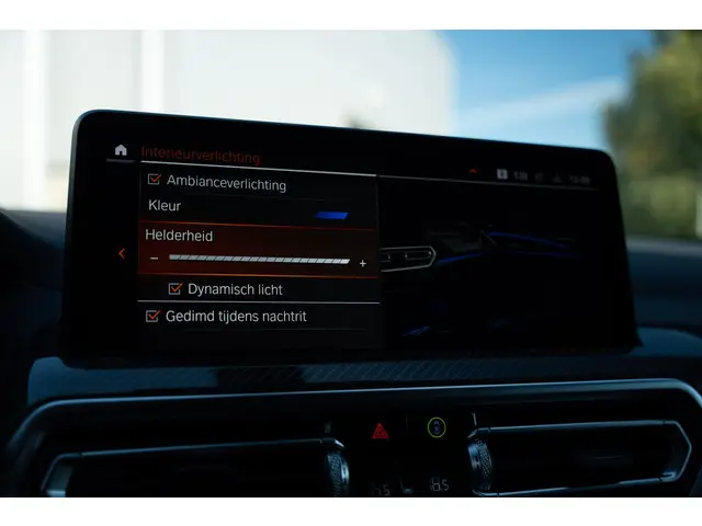 BMW X4 xDrive20i High Executive 2022 Benzine 19