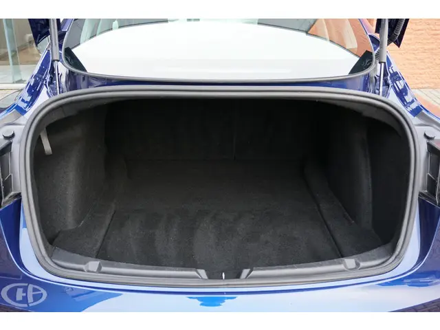 Tesla Model 3 Standard RWD Plus 60 kWh 2020 Elektrisch 12