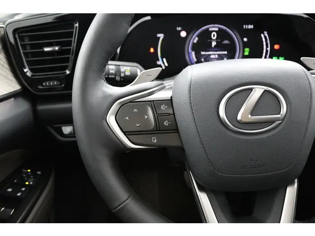 Lexus NX 450h+ AWD Overtrail Line 2024 Hybride Benzine 19