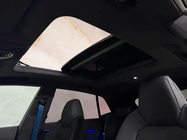 Audi RSQ8 4.0 TFSI Performance 2025 Benzine 19