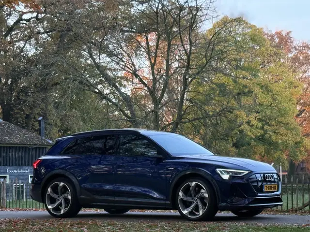 Audi e-tron S quattro 95 kWh 2021 Elektrisch 91