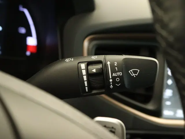 Hyundai IONIQ Comfort EV 2019 Elektrisch 24