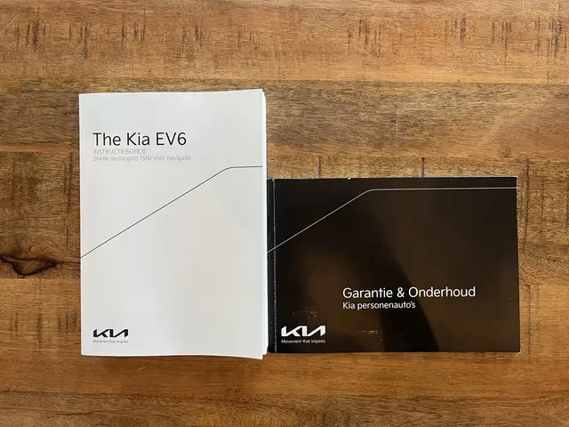 Kia EV6 Plus 77.4 kWh 2021 Elektrisch 53