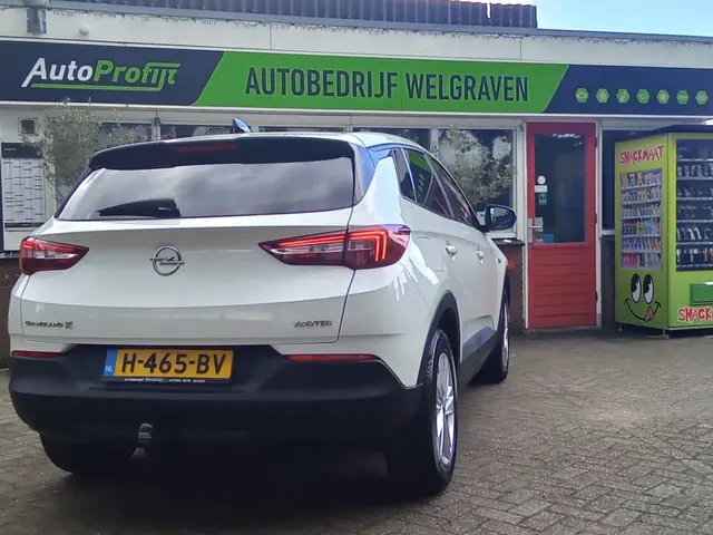 Opel Grandland X 3