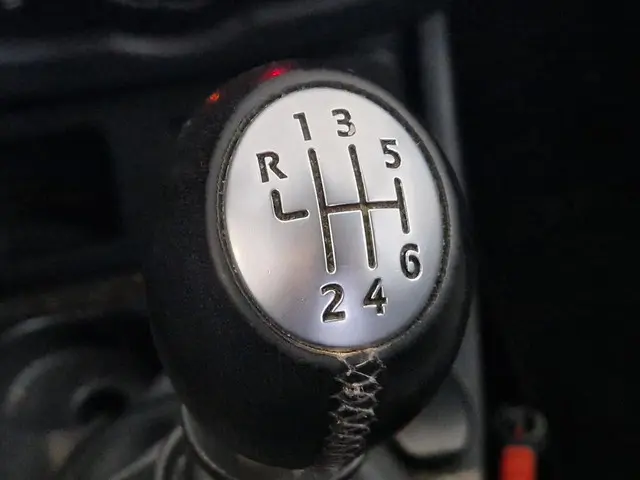 Dacia Duster 1.2 TCe 4x2 Blackshadow 2017 Benzine 20