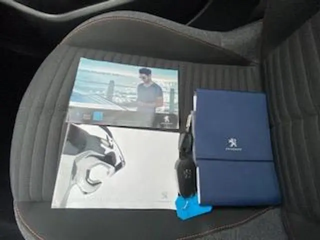 Peugeot 208 1.2 PureTech Blue Lease Active 2020 Benzine 12