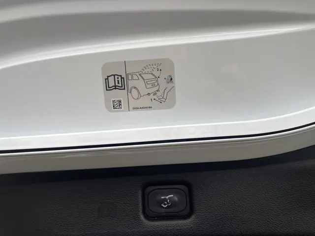 Ford S-Max 1.5 Ecoboost ST-Line 7p. 2018 Benzine 42