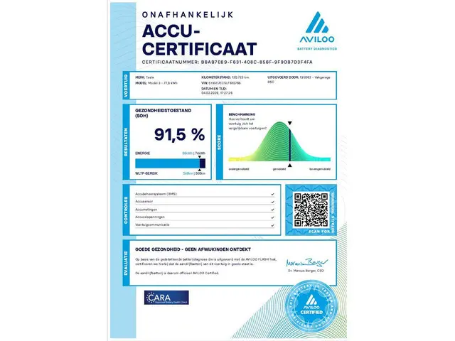 Tesla Model 3 Performance AWD 75 kWh 2019 Elektrisch 5