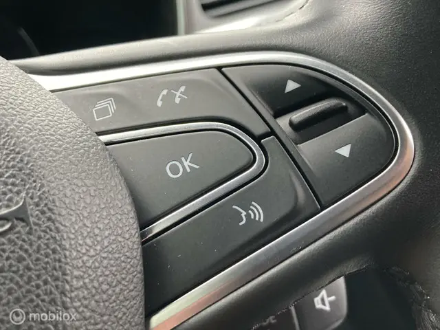 Renault Kadjar 1.3 TCe Intens 2020 Benzine 20