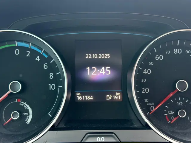 Volkswagen e-Golf e-Golf 2019 Elektrisch 12