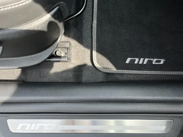 Kia e-Niro ExecutiveLine 64 kWh 2019 Elektrisch 34