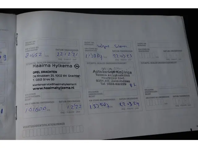 Nissan Leaf Tekna 30 kWh 2016 Elektrisch 33