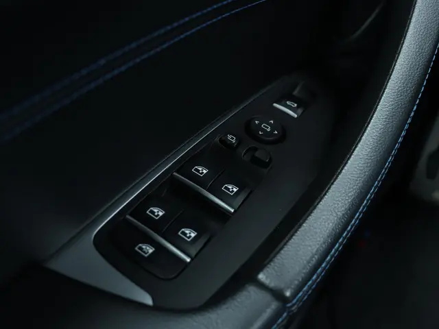 BMW X4 xDrive20i 2020 Benzine 33