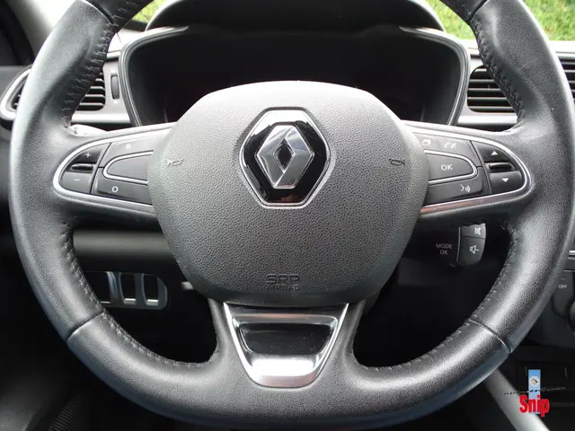 Renault Kadjar 1.2 TCe Intens 2015 Benzine 18