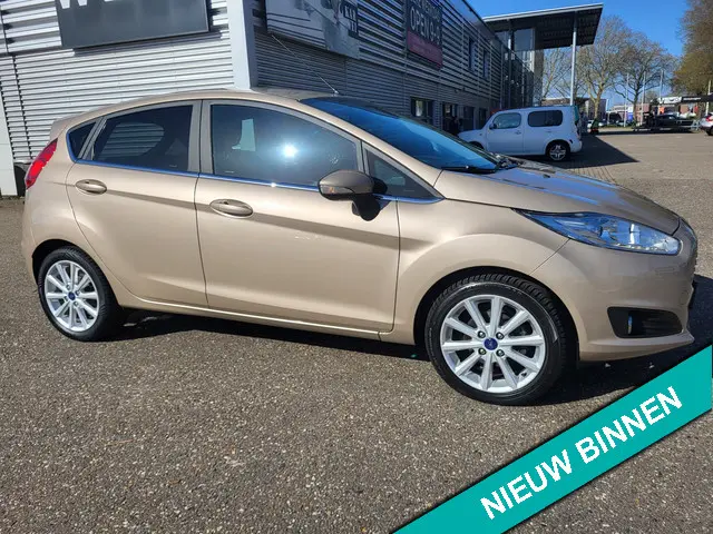 Ford Fiesta 1.0 EcoBoost Titanium TOP STAAT 2017 Benzine 9