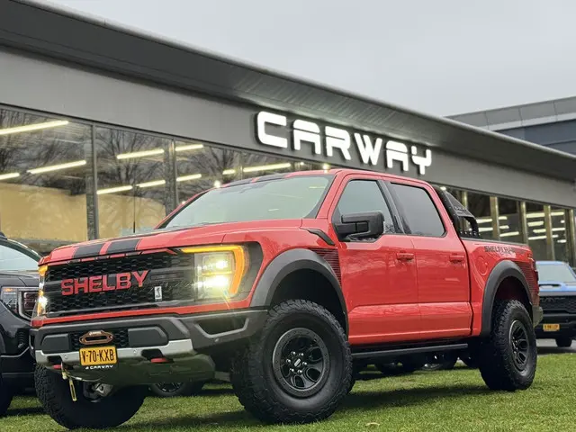 Ford F-150 3.5L V6 RAPTOR SHELBY 2024 LPG/Gas 17