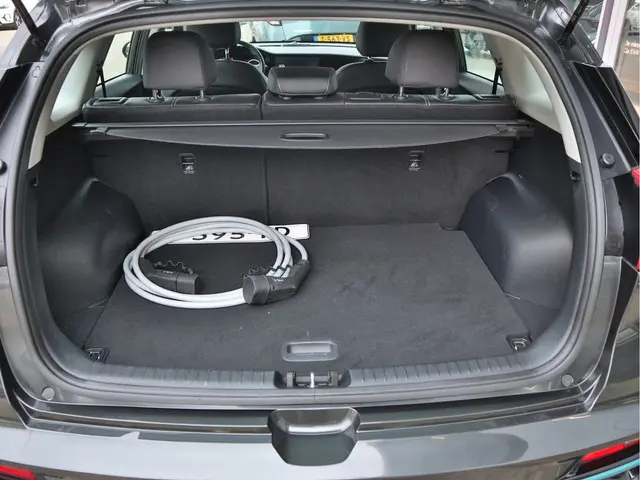 Kia e-Niro DynamicLine 64 kWh 2022 Elektrisch 21