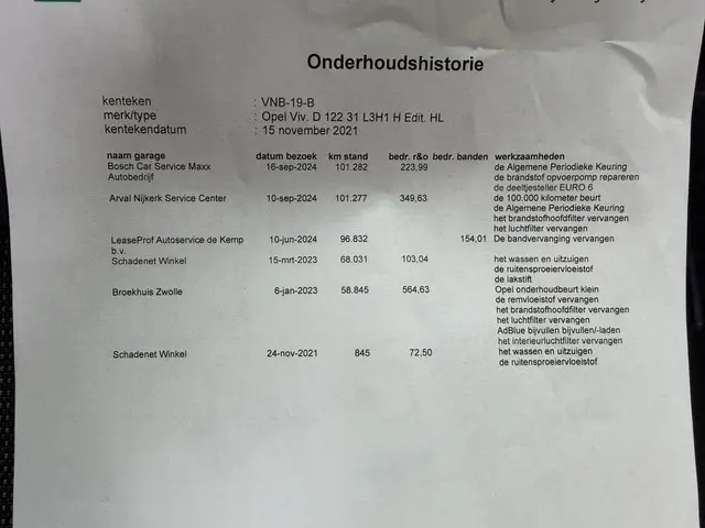 Opel Vivaro 2.0 CDTI 123PK Euro 6 L3H1 2021 Diesel 21