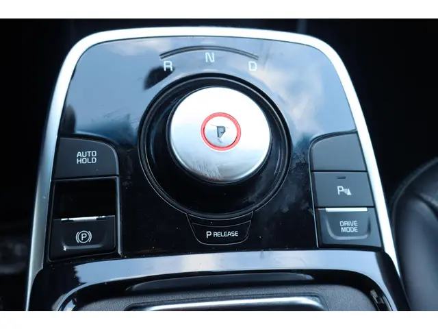 Kia e-Niro DynamicLine 64 kWh 2019 Elektrisch 28