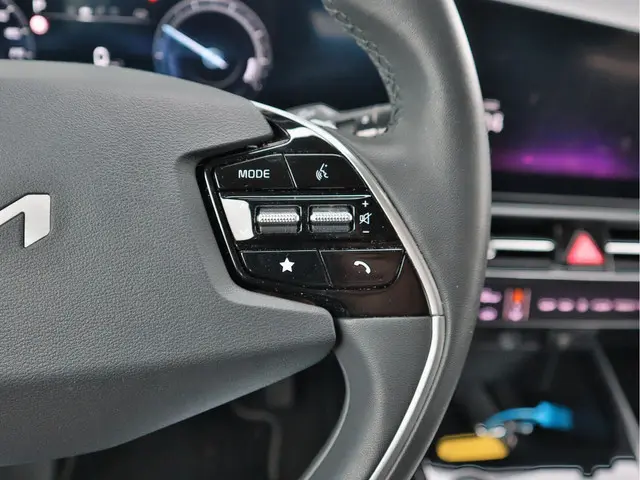 Kia Niro EV DynamicLine 64.8 kWh 2023 Elektrisch 14