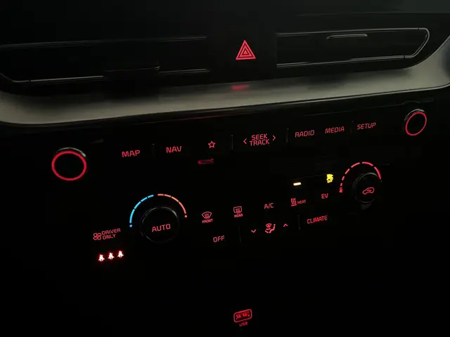 Kia e-Niro DynamicLine 64 kWh 2020 Elektrisch 12