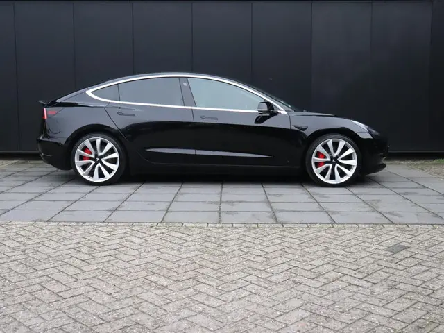 Tesla Model 3 Performance AWD 75 kWh 2019 Elektrisch 4