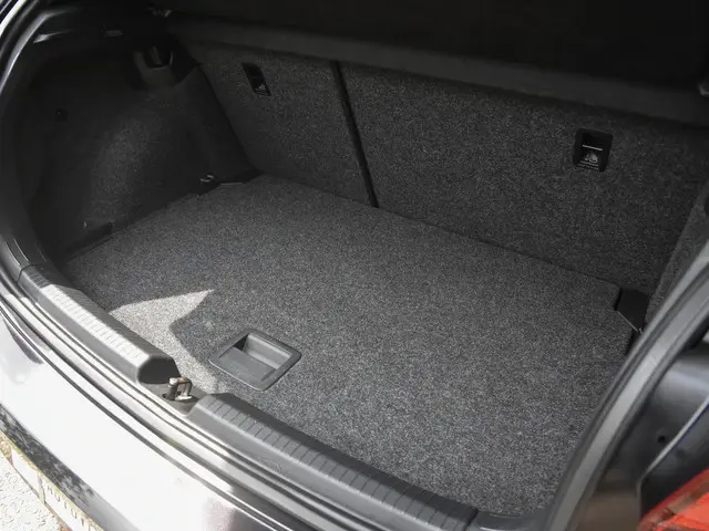 Volkswagen Polo 2.0 GTI 2020 Benzine 23
