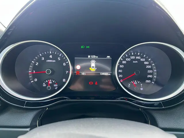 Kia ProCeed 1.6 T-GDI GT Apple Carplay PDC 2019 Benzine 15