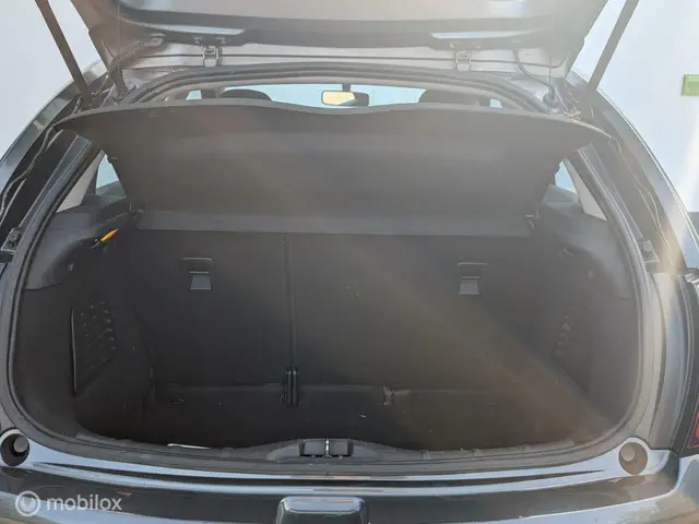 Citroën C3 1.2 PureTech Selection 2016 Benzine 9