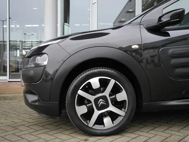 Citroën C4 Cactus 1.2 PureTech Business 2016 Benzine 36