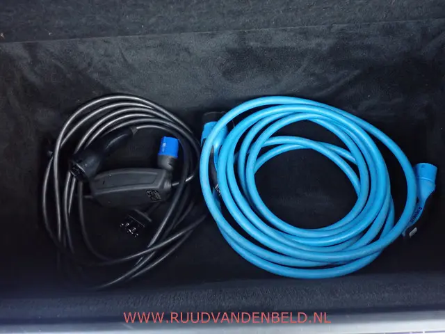 Tesla Model X 75D 2017 Elektrisch 28