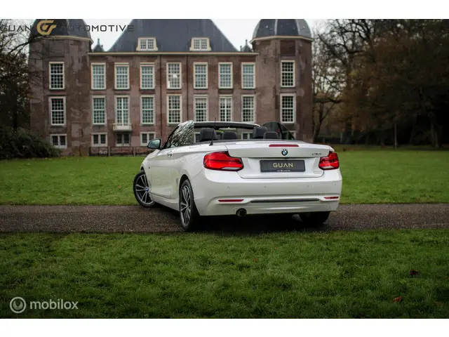 BMW 2 Serie Cabrio | 2018 Benzine 5