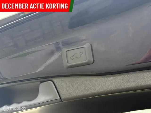 Toyota RAV4 2.5 Hybrid Bi-Tone 2022 Hybride Benzine 11